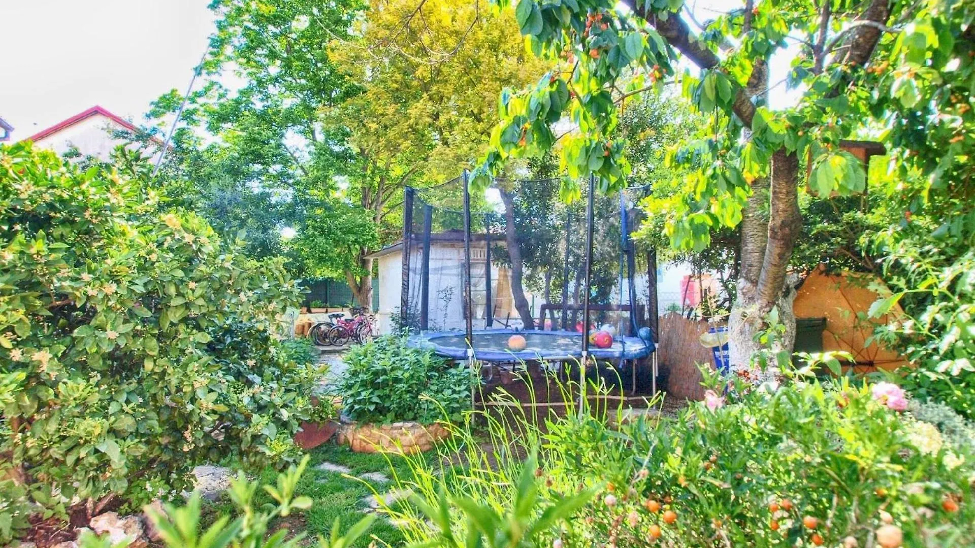 Ferienwohnung Fuer 3 Personen Ca 25 Qm In Pjescana Uvala, Istrien Istrische Riviera Apartment